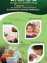 Vedha wellness Ayurveda & international Spa Therapy